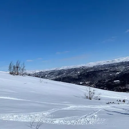 Velkommen Til Knottebu * Skoro